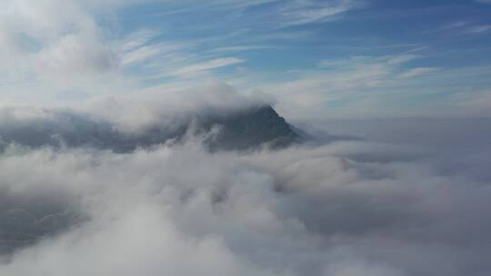 森林-航拍森林-大自然森林云雾-云海雪景