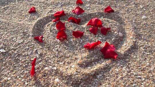 玫瑰花瓣掉在沙滩上