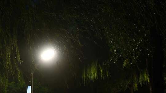 夜晚下雨都市