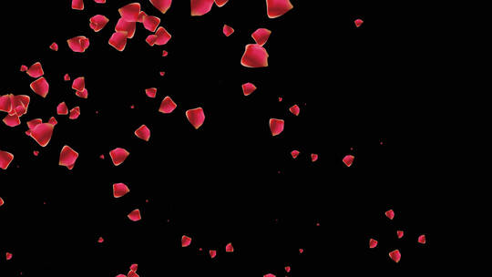 玫瑰花瓣粒子飞舞动画