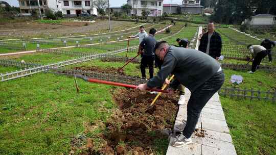 劳动空镜刨土锄地农场工人耕作劳作翻土