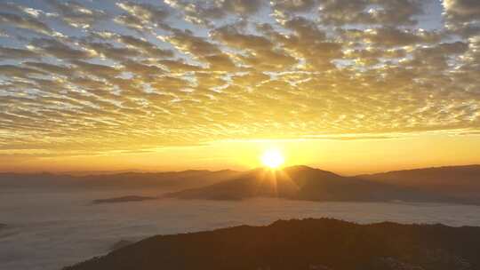 景迈山茶山云海日出