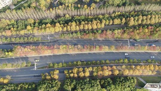 俯拍南京城市交通绿化秋天