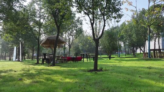 绿树环绕的户外休闲场地