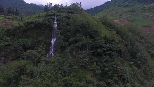 雷波马湖莼菜