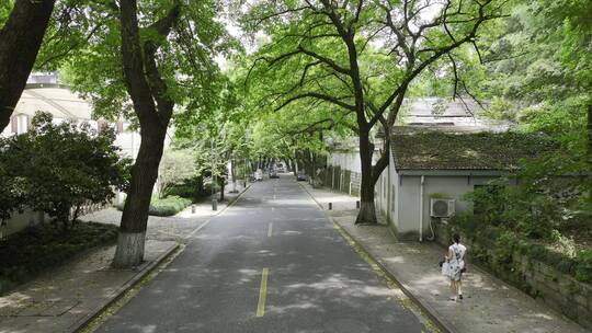 航拍中国杭州夏日万松岭路车流交通