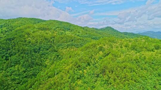 航拍高山绿树自然风景