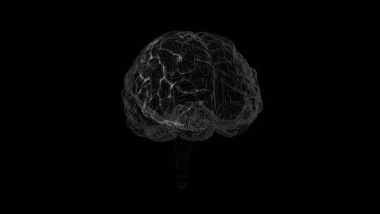 医学 大脑 脑科学 三维 脑ct1 模型
