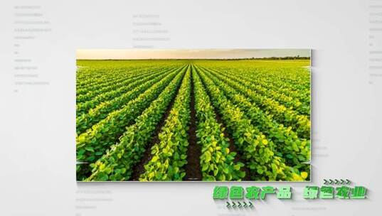 绿色农业农产品图文展示