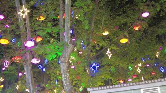 城市夜景灯光装饰树枝树叶实拍