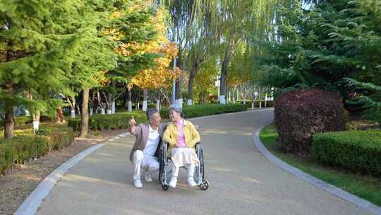 幸福老人 轮椅