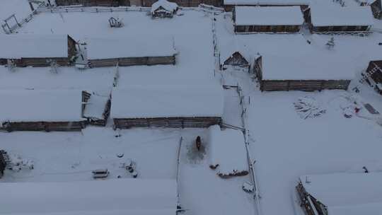 航拍大雪覆盖的新疆喀纳斯老村房屋