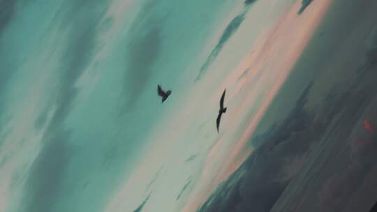 海上海鸥飞翔