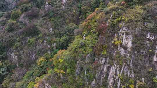 泰山桃花峪索道站的秋色