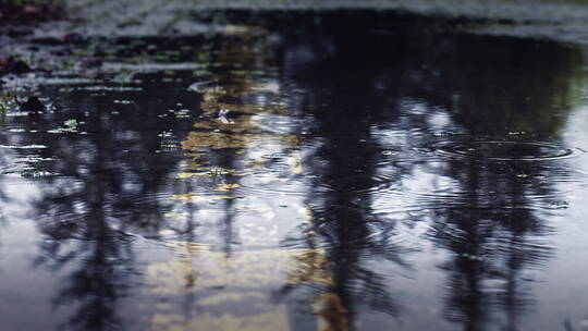 雨后的街道