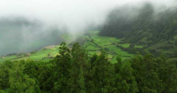 树，山，村庄，湖