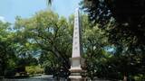 广西柳州柳侯祠公园解放纪念碑高清在线视频素材下载