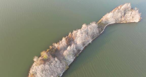 湖北武汉东湖落雁风景区秋季风光