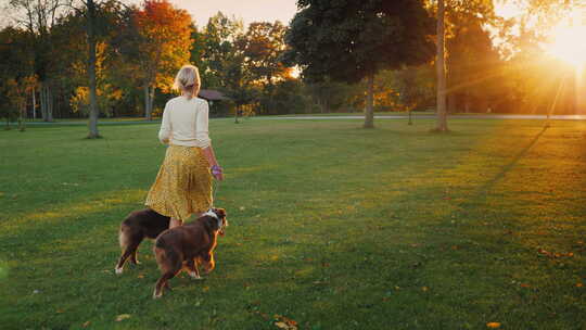 女人牵着狗走向日落的方向