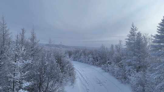 林海雪原雪林和山路