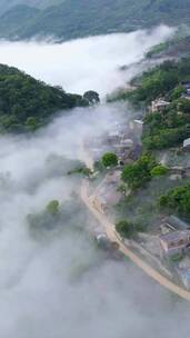 总有一片白云会经过你的头上，治愈系风景