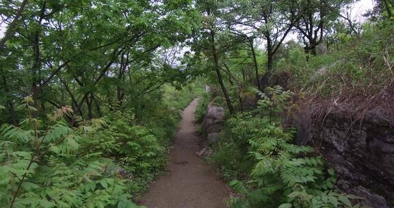 荒山野岭