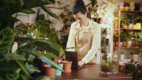 女人，花店，植物园，温室