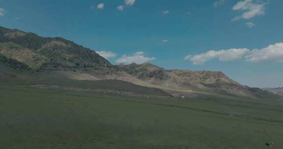 （5K广告级）新疆内蒙大草原羊群放牧