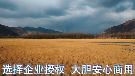 草原湿地视频中国西部青藏高原河流源头风光