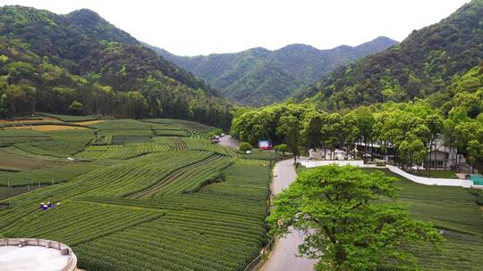 航拍杭州西湖区龙坞西山森林公园合集