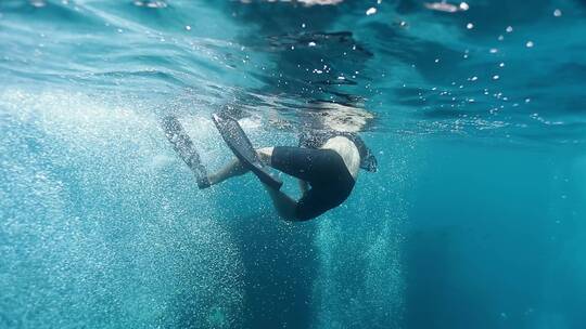 巴厘岛自由潜
