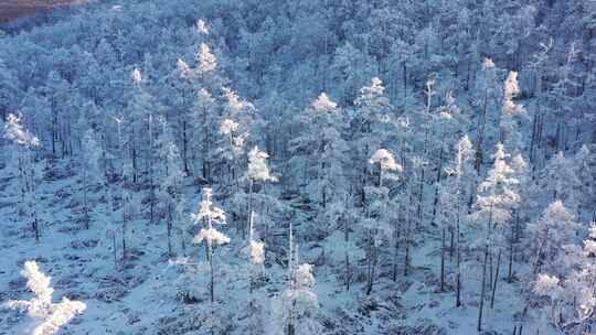 高山雾凇视频素材模板下载