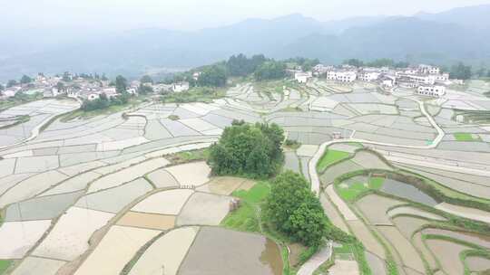 航拍贵州花溪高坡乡石门梯田-原视频