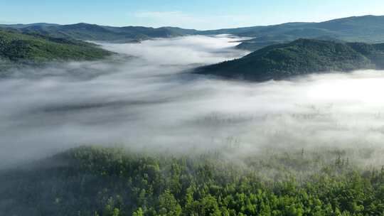 航拍大兴安岭高山森林云海晨雾