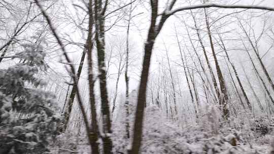 寒潮冬天下雪的村庄田野