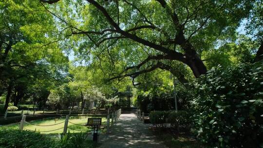 广西柳州柳侯祠公园开元寺遗址古迹视频素材模板下载