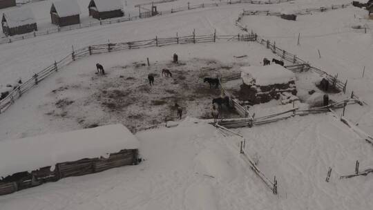 新疆 禾木 雪屋 航拍 冬季