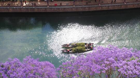 【精品】航拍昆明蓝花楹江边滨江美景