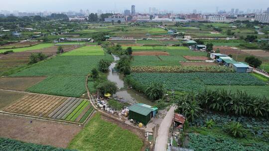 蔬菜种植基地航拍