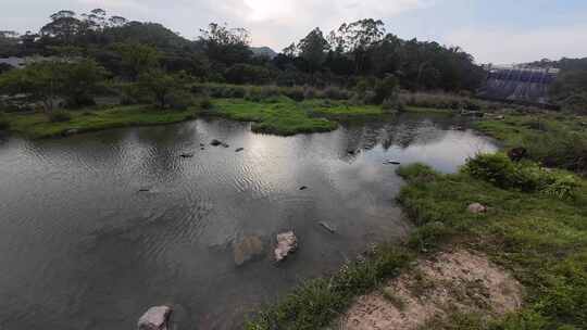 生态河流穿越机溪流穿梭河流飞行生态环境