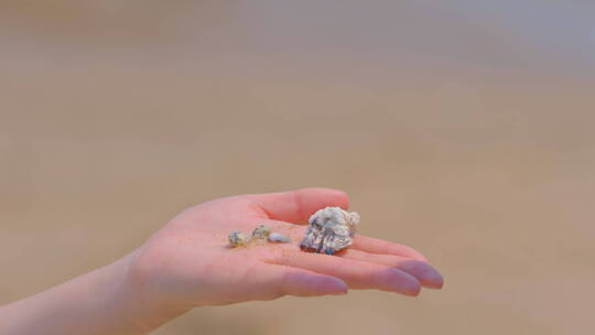 情侣 捡贝壳 鼓浪屿 沙滩