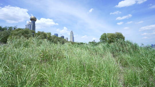 武汉江岸区汉口江滩风景