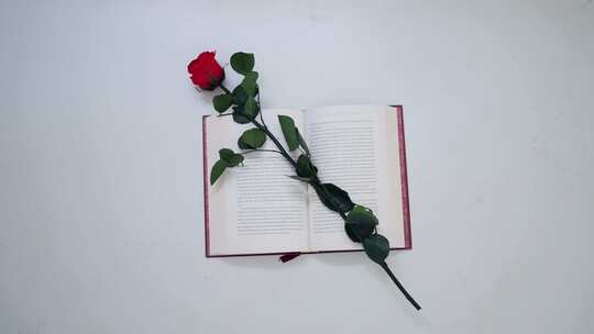 放在情书上的玫瑰花视频素材模板下载