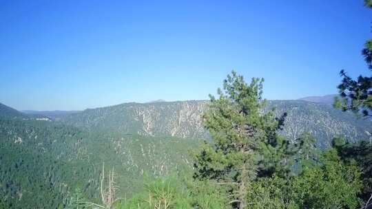 蓝天白云森林树林山峰