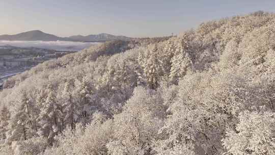 冰天雪地东北雾凇雪山