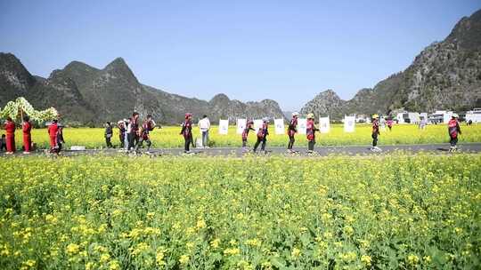 油菜花地骑自行车