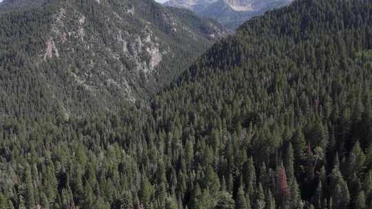 美国福克峡谷的瓦萨奇山脉，令人难以置信的无人机景观