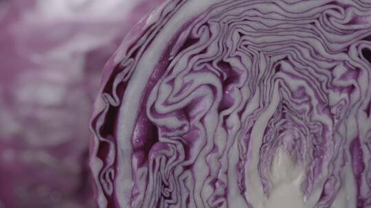 紫甘蓝营养健康蔬菜微距拍摄LOG视频素材模板下载