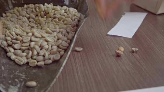 工人筛选咖啡豆视频素材模板下载