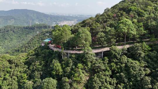 广东观音山国家森林公园第十二届登山大赛